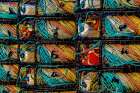 California-USA-Crescent City-Crescent City Marina Art Print